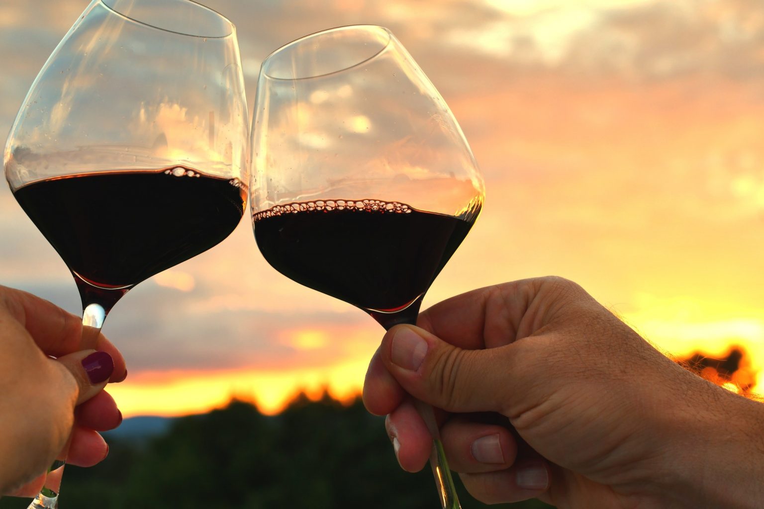 degustazione vino cena al tramonto